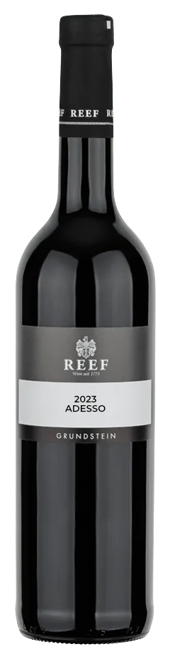 2023 Adesso