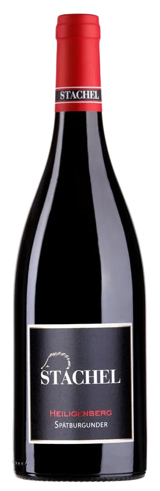 2021 Pinot Noir Heiligenberg trocken