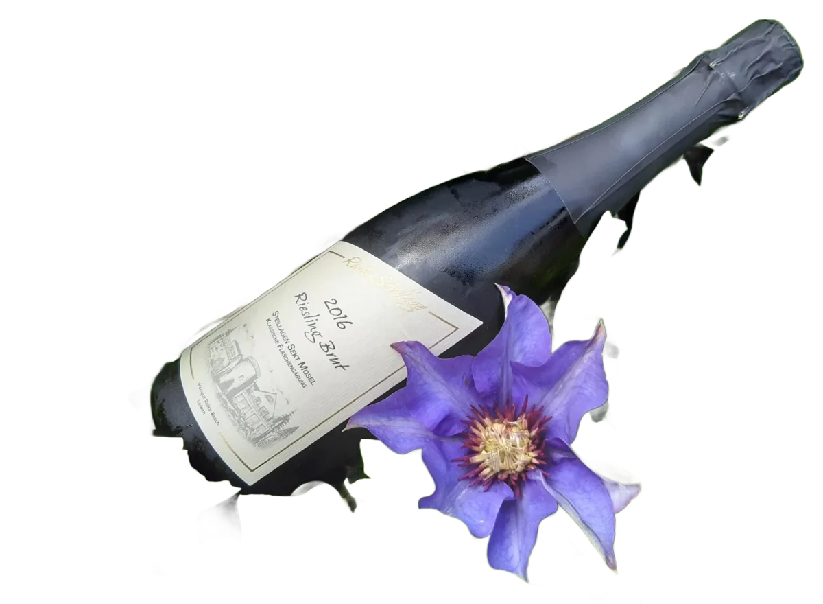 2023 Riesling Brut
