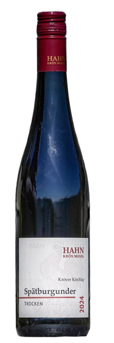 2024 Spätburgunder Rotwein trocken