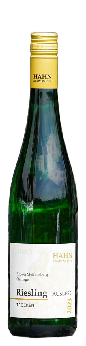 2023 Riesling Steillage Steffensberg trocken