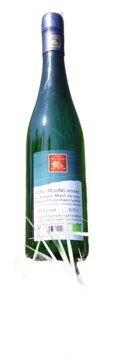 Riesling trocken Würzlay Qualitätswein