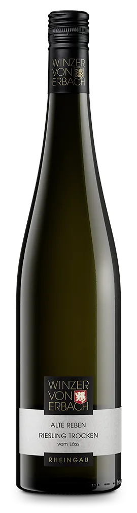 2024 Riesling Alte Reben „vom Löss“ Qualitätswein – trocken