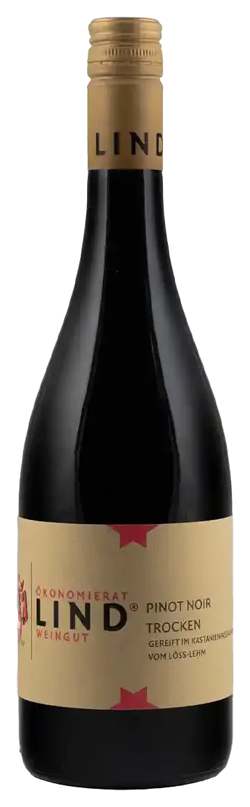 PINOT NOIR TROCKEN
