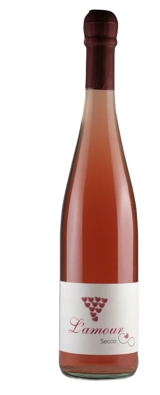 2011er SECCO XL