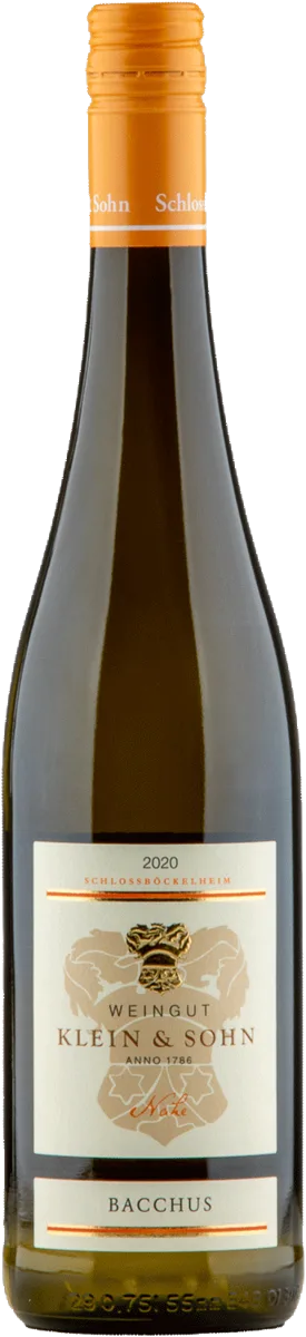 Bacchus Süß