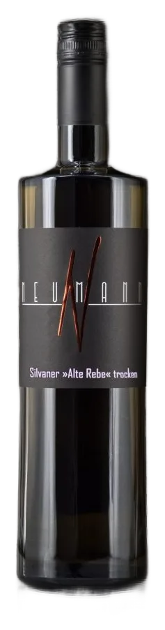 2025 Silvaner -alte Rebe- trocken