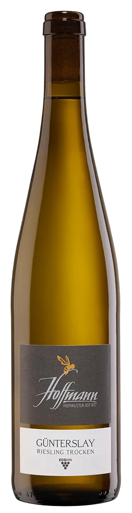 2024 Günterslay Riesling Trocken