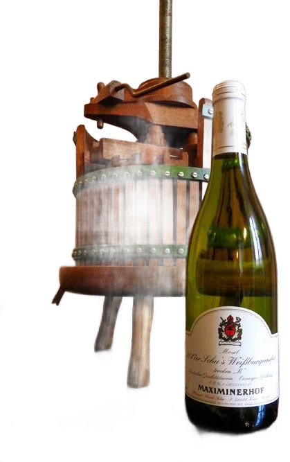 Schu’s Weissburgunder "R" Qualitätswein trocken