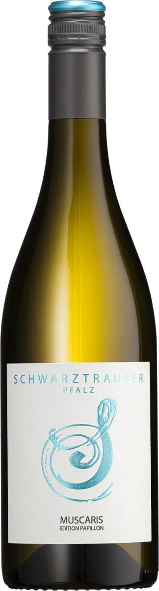 Muscaris 2025er Qualitätswein Pfalz