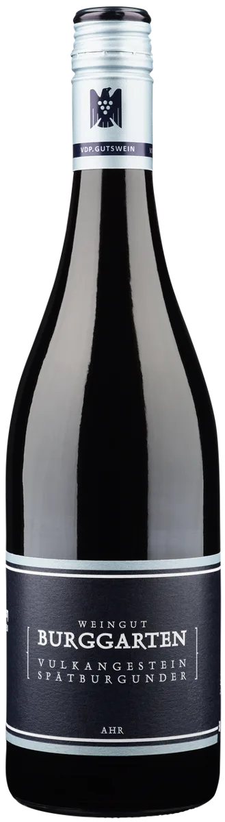 SPÄTBURGUNDER VULKANGESTEIN