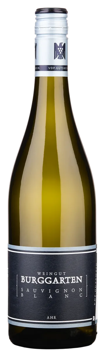 SAUVIGNON BLANC