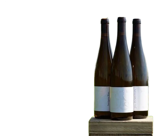 2024er SAUVIGNON BLANC