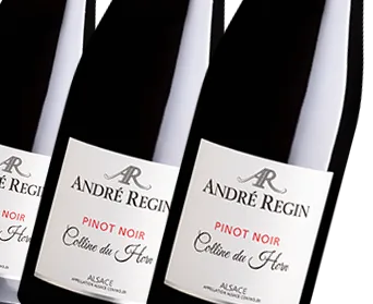 Pinot Noir « Colline du Horn »