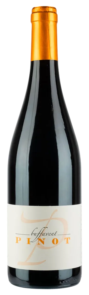Beaujolais cépage pinot noir