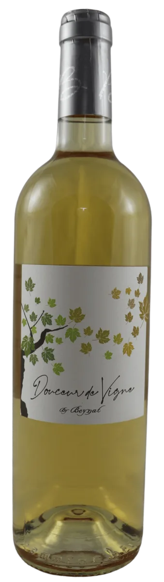 Douceur de Vigne