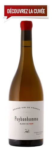 Le Blanc de Noir