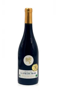 Trésor des Anges