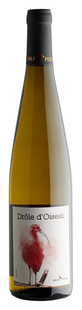 Drôle d'Oiseau