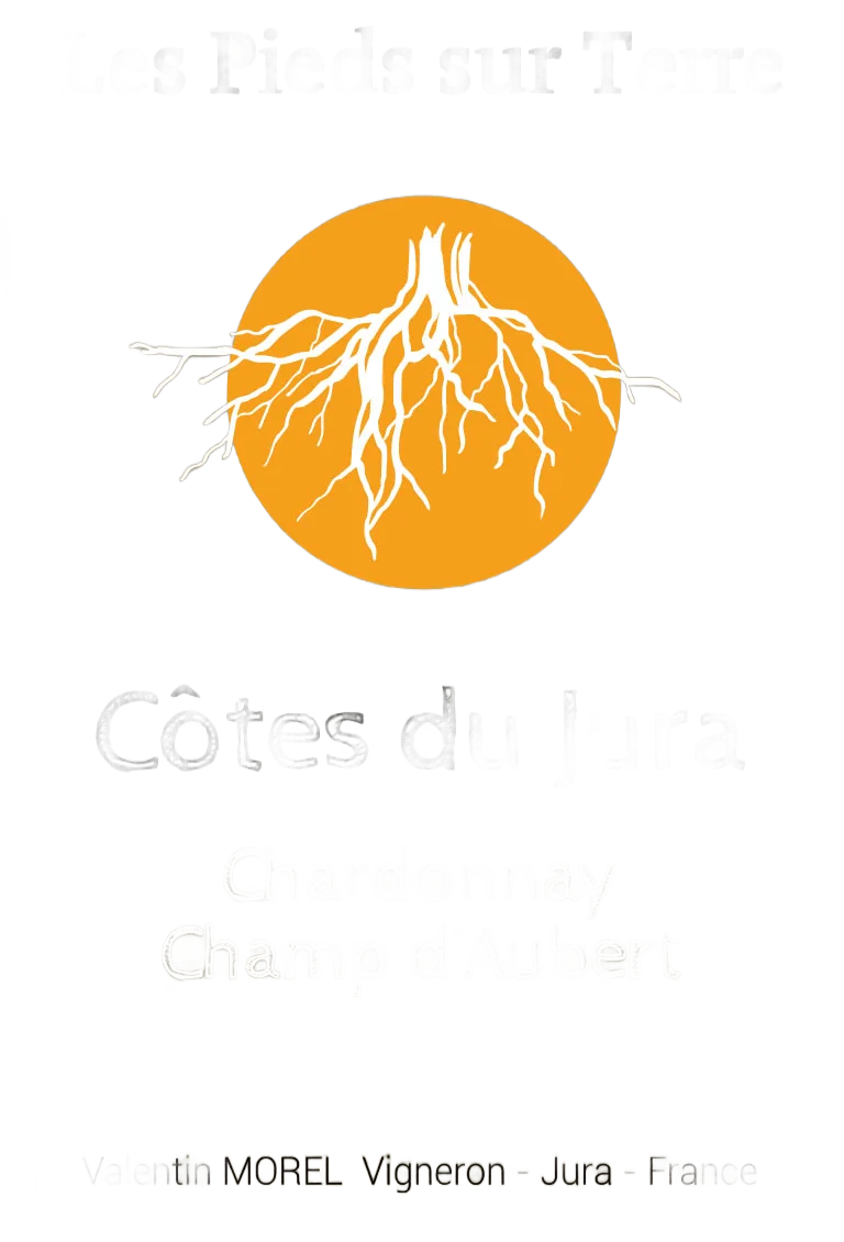 Chardonnay « Champ d’Aubert »