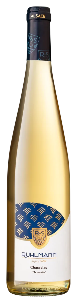 Chasselas Me revoilà