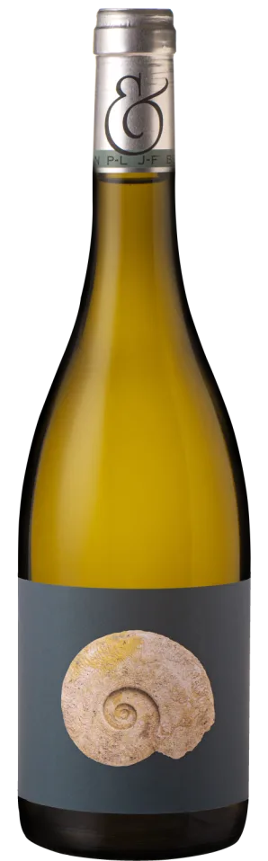 Saint Bris Cuvée Marianne