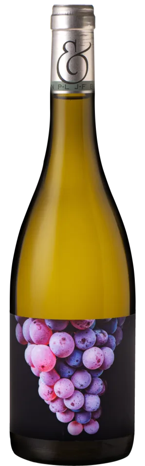 Saint-Bris Fyé Gris