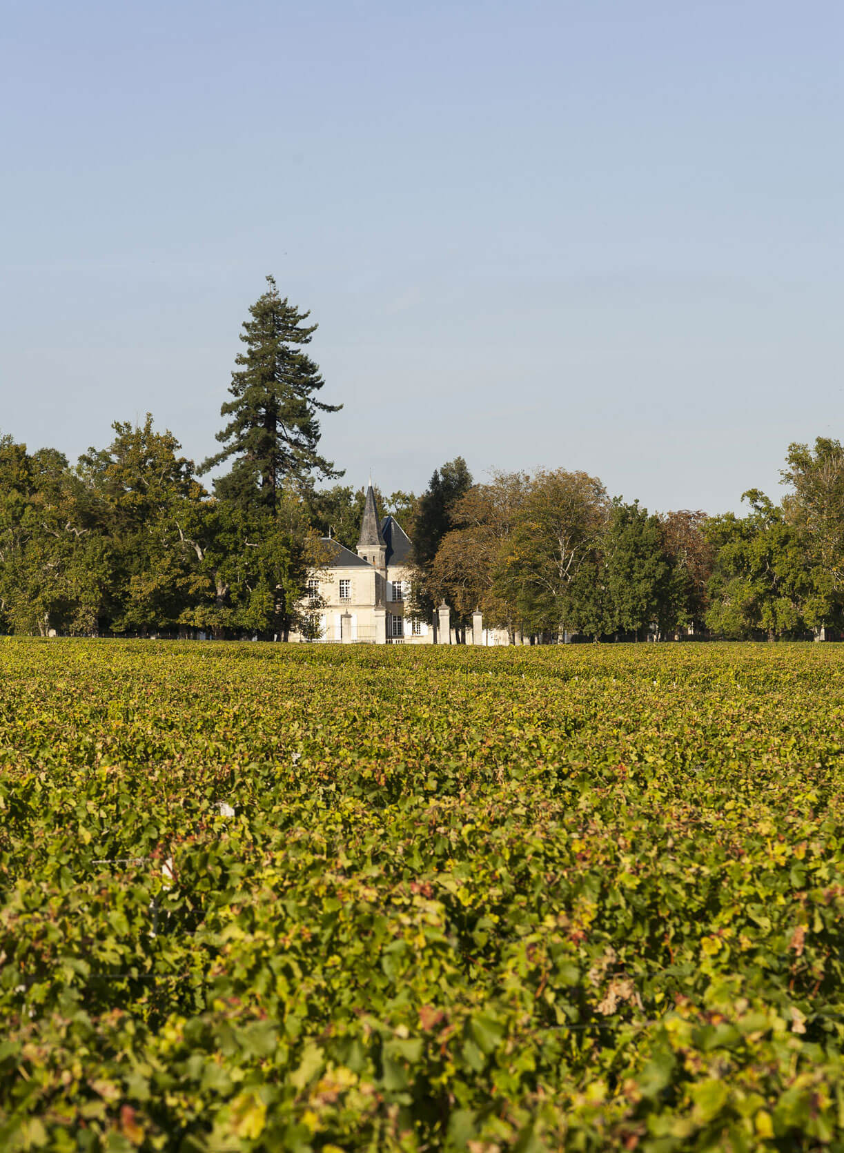 Les Hauts de Lynch-Moussas