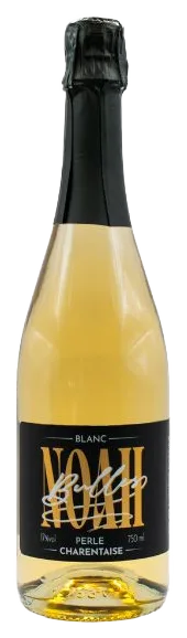 Perle Charentaise Noah et Gabi Bulles blanc