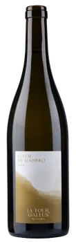 Fleur de Gabbro 2023