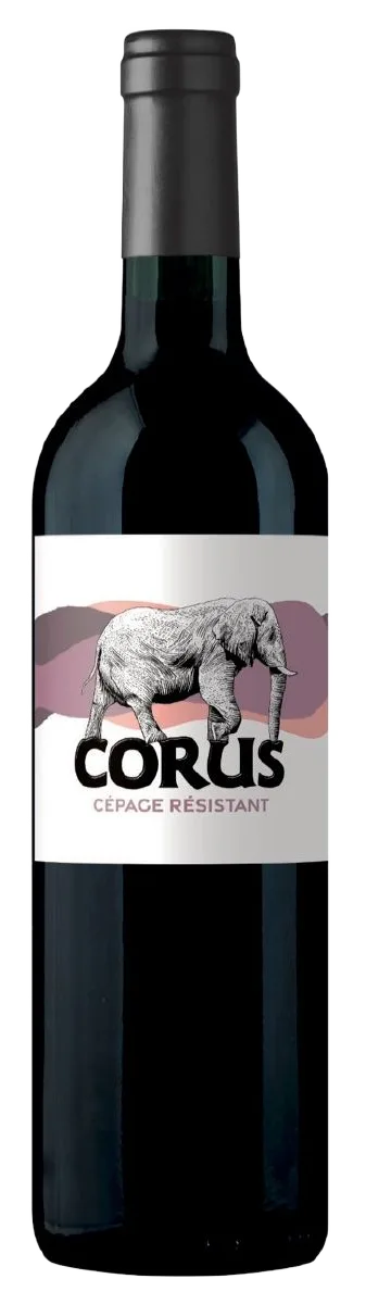 Corus