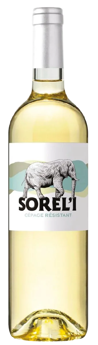 Sorel’i