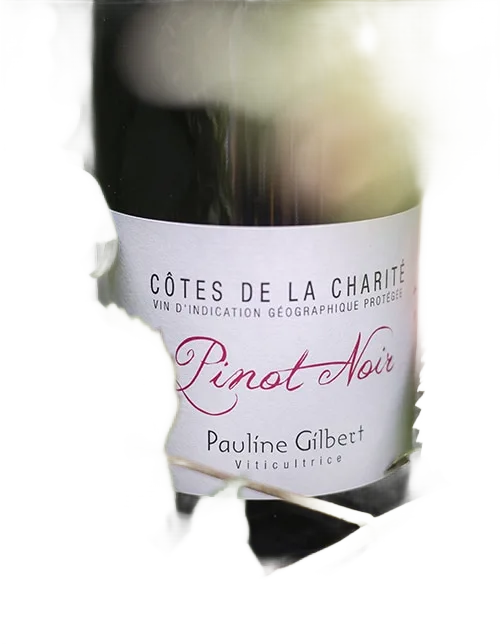 Pinot Noir