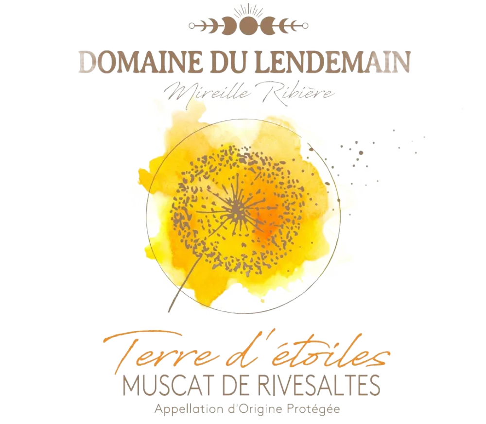 Terre d'Étoiles