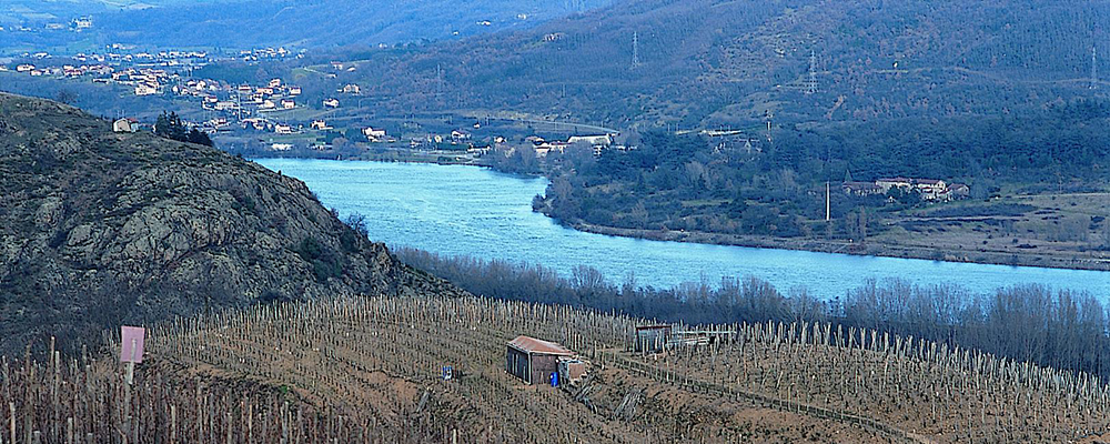 DOMAINE DE BONARIEUX