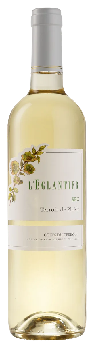 L’ÉGLANTIER BLANC SEC