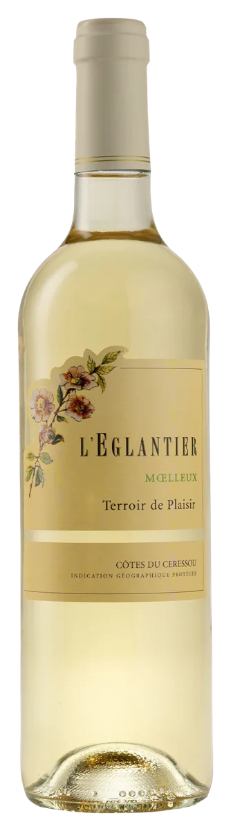 L’ÉGLANTIER MOELLEUX
