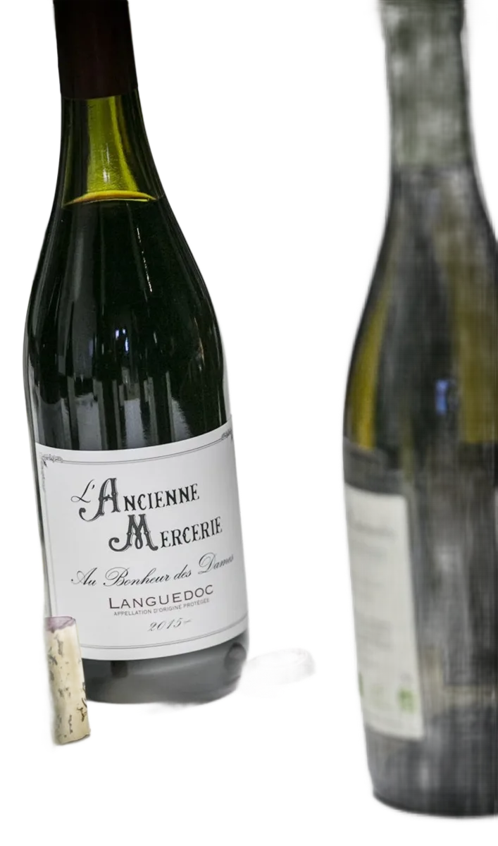 Au Bonheur des Dames