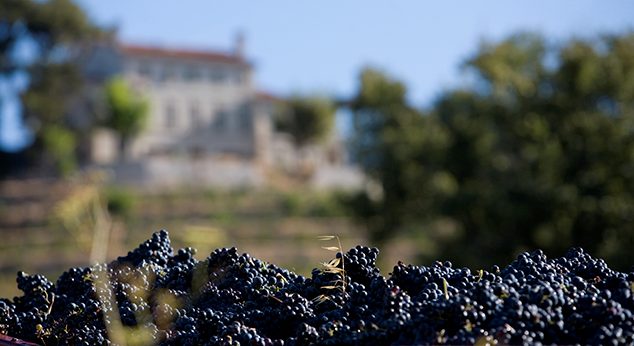 Château la Rouvière