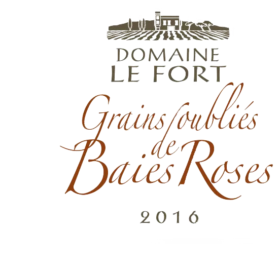 Grains Oubliés de Baies Roses