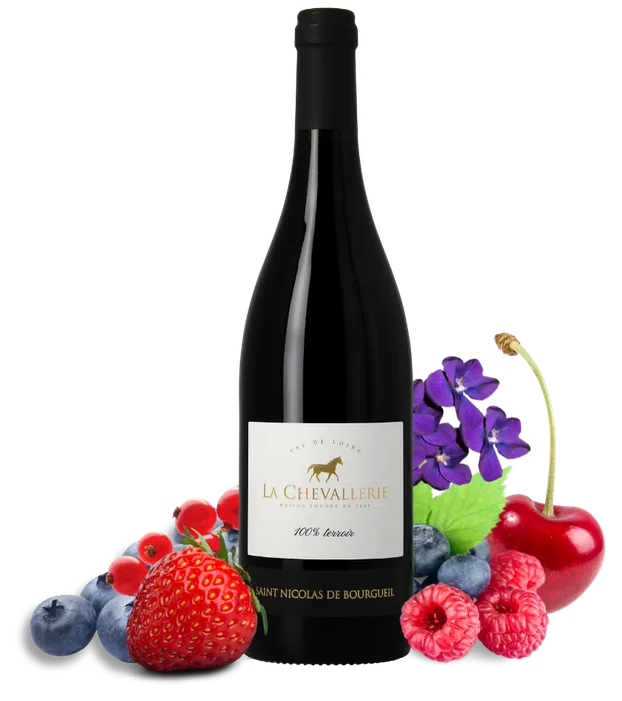 Saint-Nicolas de Bourgueil rouge