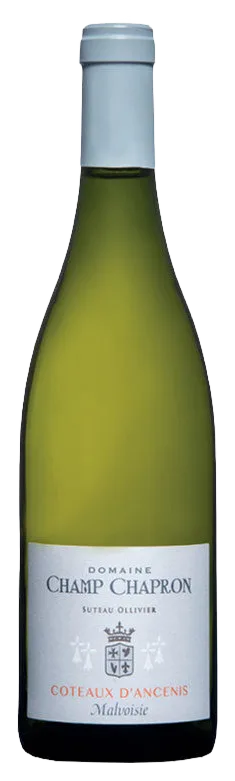 Malvoisie