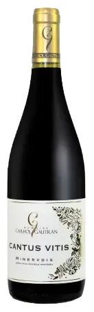 cantus vitis