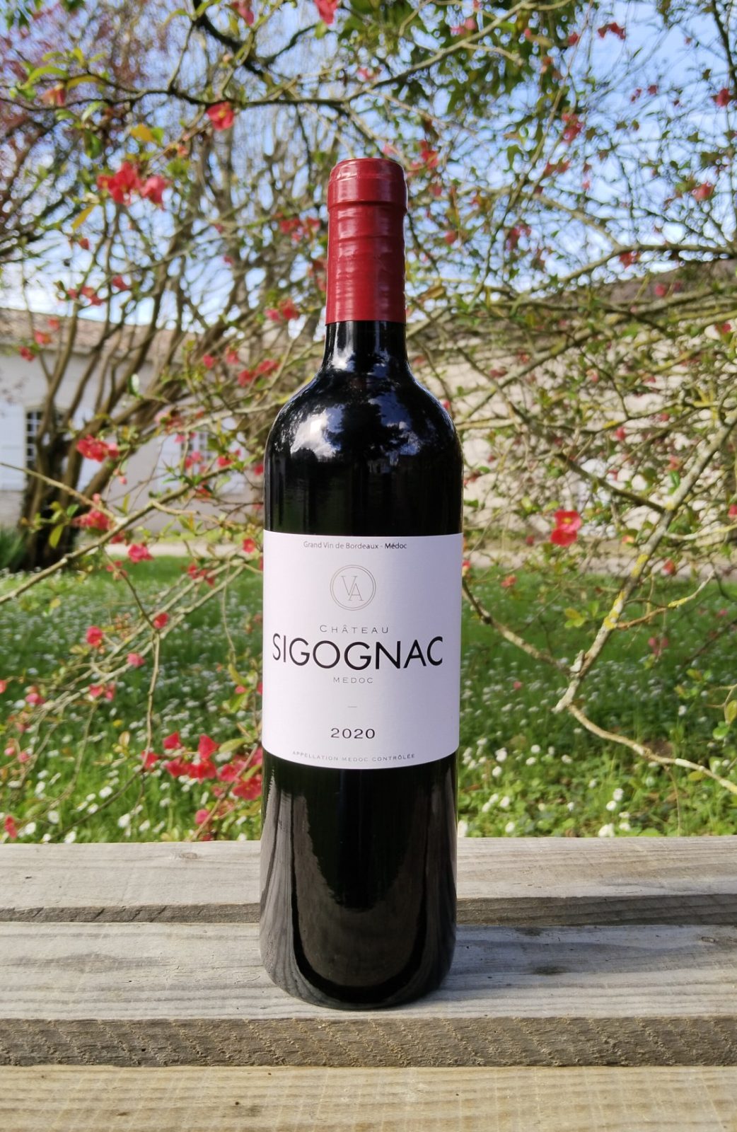 Château Sigognac