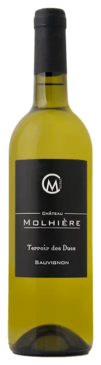 Sauvignon Blanc – Cuvée Terroir des Ducs