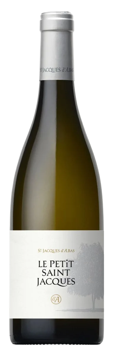 Petit Saint Jacques blanc