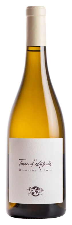TERRE D’AILLEULS BLANC