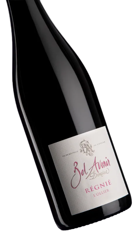 Régnié L'Ollier