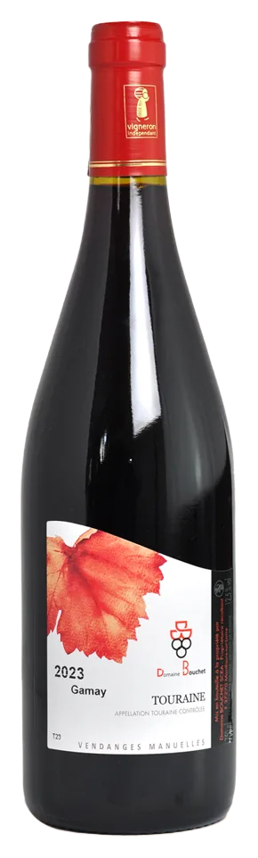Rouge Gamay