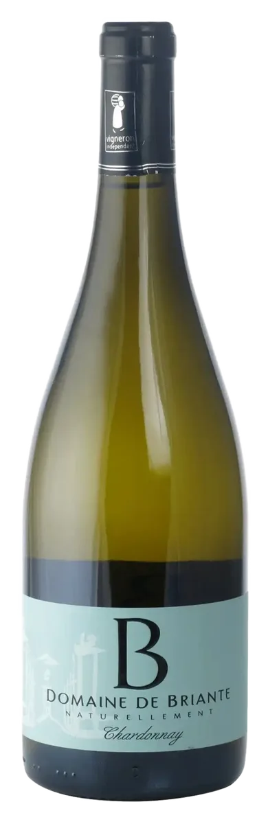 Beaujolais Blanc